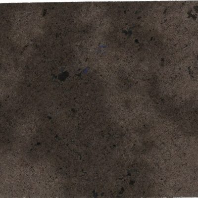 LABRADOR ANTICO N.14360