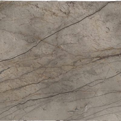 SILVER ROOTS N.62524