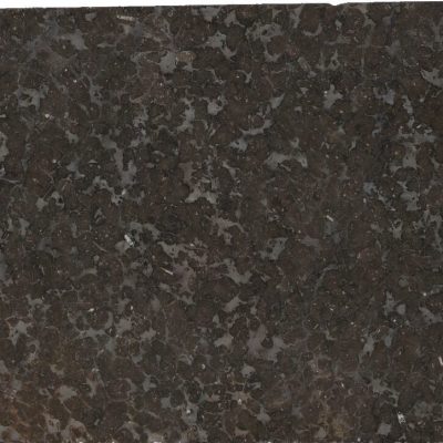 FOSSIL BROWN N.19144