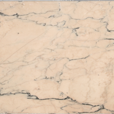 ROSA PORTOGALO EXTRA N.63704